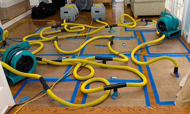Professional Basement Flood Cleanup technician working in Jamison, PA